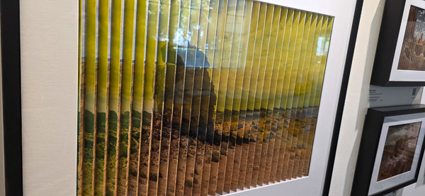 Photographer's Eye Gallery